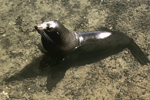 South Coast Photography Field Day - Stays Accommodation 5
