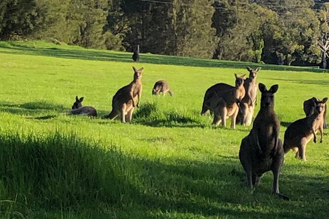 South Coast Photography Field Day - Stays Accommodation 6