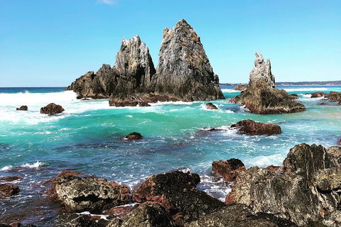 South Coast Photography Field Day - Stays Accommodation 0