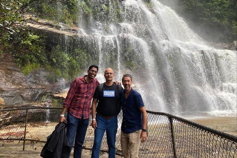 Blue Mountains Highlights & Wildlife Park - Stayed 4