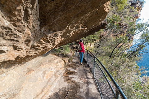 Blue Mountains Highlights & Wildlife Park - Stayed 0
