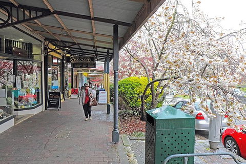 Blue Mountains Highlights & Wildlife Park - Stayed 2