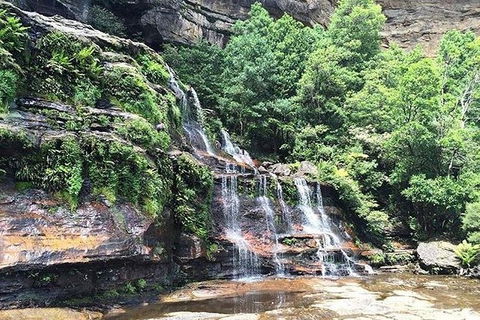 Blue Mountains Highlights & Wildlife Park - Stayed 8
