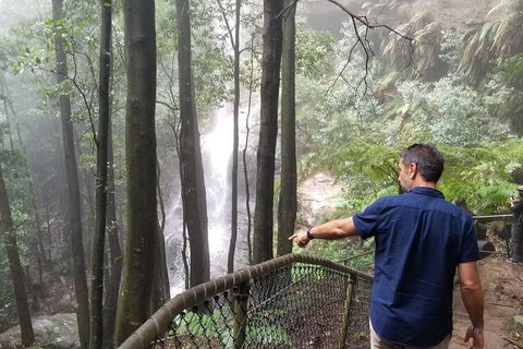 Blue Mountains Highlights, Wildlife Park And Scenic World Full Day Private Tour - Stayed 6