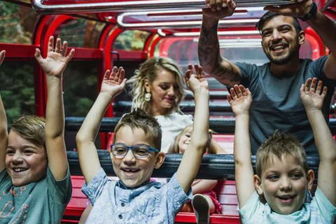 Blue Mountains Highlights, Wildlife Park And Scenic World Full Day Private Tour - Stayed 5