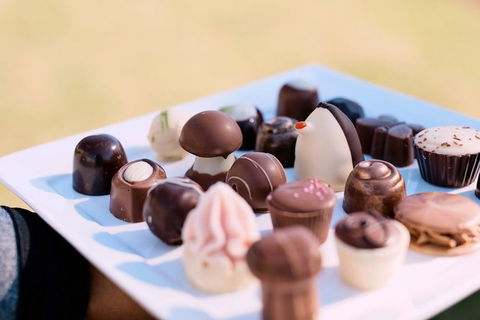 Hunter Valley Highlights Private Wine Tour From Sydney - Stayed 7