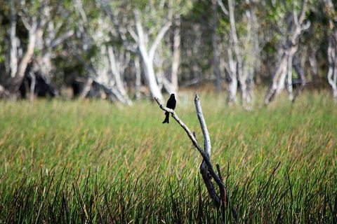 ETHICAL ADVENTURES - Dry Season Litchfield Region, Max 10 Guests - Stayed 2