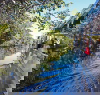 Serenity Cruise to Australia's Everglades - Stayed