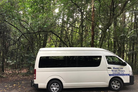 Springbrook And Mt Tamborine Adventure Tour - Bring The Kids!! - Stays Accommodation 7