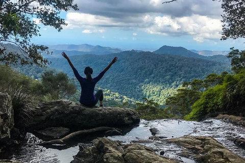 Springbrook And Mt Tamborine Adventure Tour - Bring The Kids!! - Stays Accommodation 6