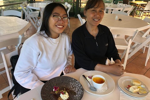 Springbrook And Mt Tamborine Adventure Tour - Bring The Kids!! - Stays Accommodation 8