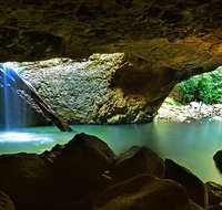 Springbrook and Mt Tamborine Adventure Tour - Bring the Kids - Stayed