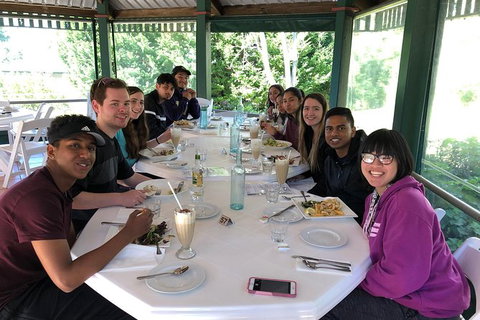 Springbrook And Mt Tamborine Adventure Tour - Bring The Kids!! - Stays Accommodation 3