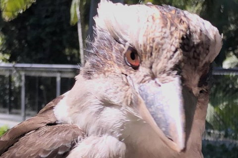 Springbrook And Mt Tamborine Adventure Tour - Bring The Kids!! - Stays Accommodation 5