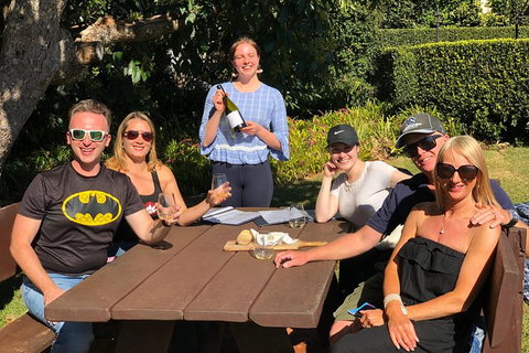 Springbrook And Mt Tamborine Adventure Tour - Bring The Kids!! - Stays Accommodation 9