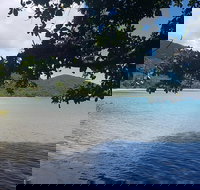 Full Day Tour in the Daintree - Stays Accommodation