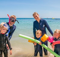 Full-Day Cruise Tour to Frankland Islands Great Barrier Reef - Stayed