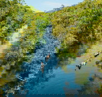 Cruise 'n' Canoe to Australia's Everglades - Stayed