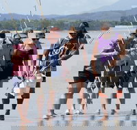 Aboriginal Cultural Daintree Rainforest Tour from Cairns or Port Douglas - Stayed