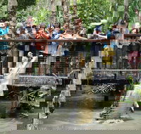 Hartley's Crocodile Adventure Half-Day Tour - Stayed