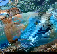 Cairns 2-Day Combo Great Barrier Reef Cruise and Kuranda - Stayed