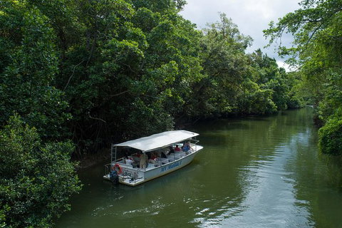 Daintree Rainforest, Cape Tribulation And Bloomfield Track Small Group Tour - Stayed 5