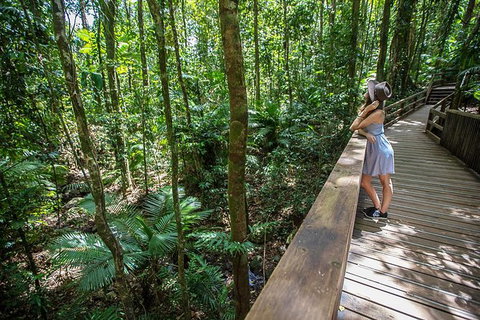 Daintree Rainforest, Cape Tribulation And Bloomfield Track Small Group Tour - Stayed 3