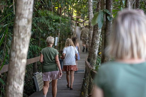 Daintree Rainforest, Cape Tribulation And Bloomfield Track Small Group Tour - Stayed 15