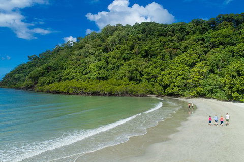 Daintree Rainforest, Cape Tribulation And Bloomfield Track Small Group Tour - Stayed 2