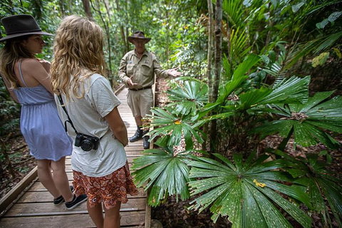 Daintree Rainforest, Cape Tribulation And Bloomfield Track Small Group Tour - Stayed 12