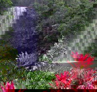 The Original Day Tour to Paronella Park Lake Barrine and Millaa Millaa Falls - Stayed