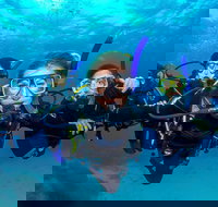 Great Barrier Reef Diving and Snorkeling Cruise from Cairns - Stayed