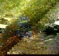 Barron Gorge and Kuranda National Park Half Day Rainforest and Waterfall 4WD Tour from Cairns - Stayed