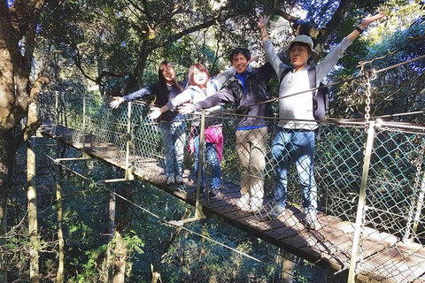 Private Tour - Stayed 11