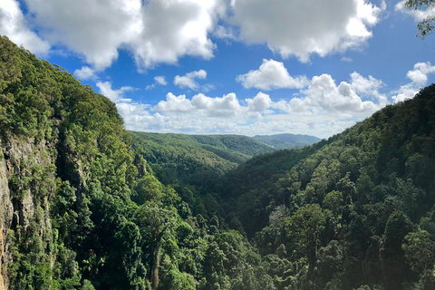 Private Tour - Stayed 1
