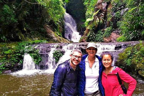 Private Tour - Stayed 0