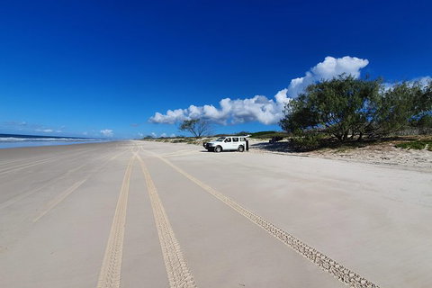 Bribie Island Beach & Bunker Tour - Stayed 2