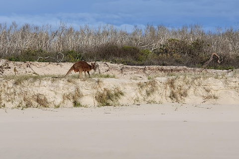 Bribie Island Beach & Bunker Tour - Stayed 1