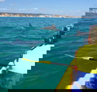 Kayak with Dolphins and 4WD Great Beach Drive Day Trip from Noosa - Stayed