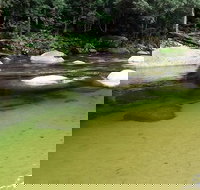 Afternoon Half-Day Daintree Rainforest and River Tour - Stays Accommodation