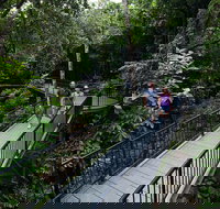 4-Day Cairns with Great Barrier Reef and Daintree Rainforest - Stays Accommodation