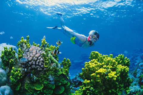 Full Day Snorkel In The Great Barrier Reef - Stayed 0