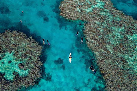 Full Day Snorkel In The Great Barrier Reef - Stayed 1