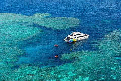 Full Day Snorkel In The Great Barrier Reef - Stayed 6