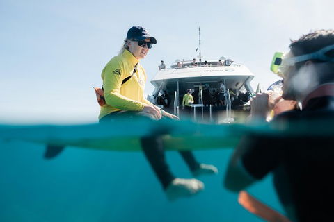 Full Day Snorkel In The Great Barrier Reef - Stayed 7