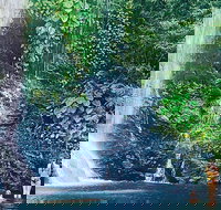 Morning Half Day Tour - Stays Accommodation