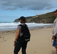 Tropical Beach Adventure - Private 4X4 Day Tour with Pickup - Stayed
