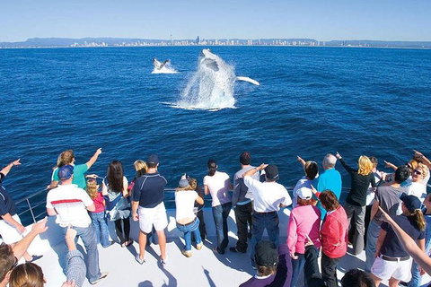 Gold Coast City Card (3 Days Card): Unlimited Attractions - Stayed 6