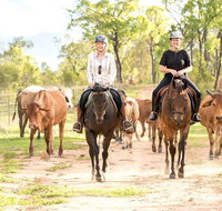 Ride the Outback at Ironbark House Dimbulah Horse Riding - Stayed