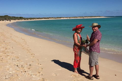 Elope In Paradise - Weddings At Mission Beach - Stays Accommodation 6